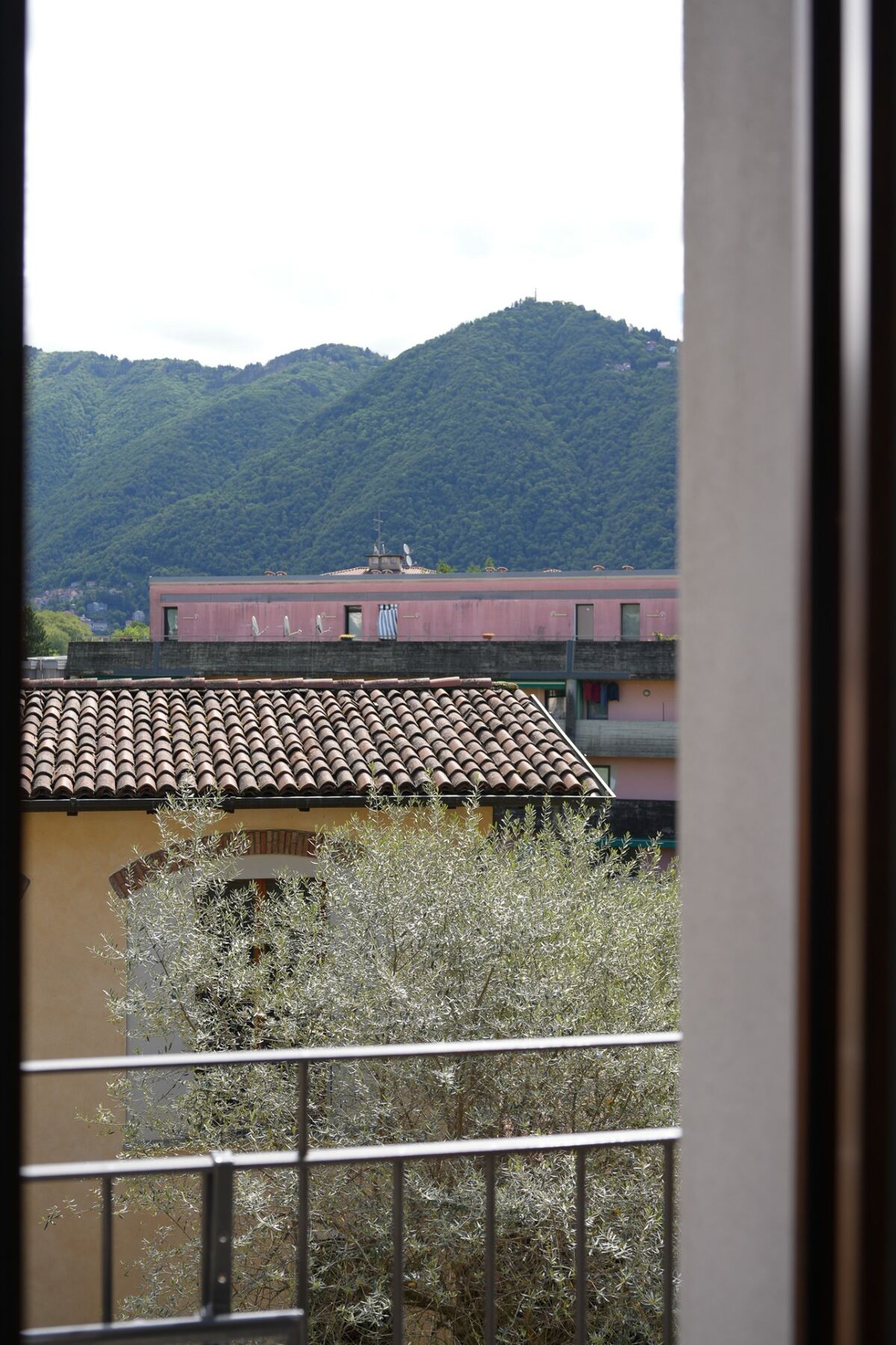 Morning view through the window